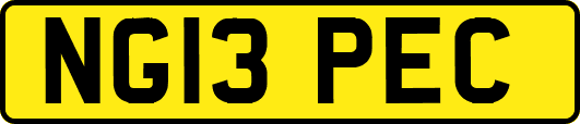 NG13PEC