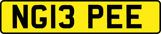 NG13PEE