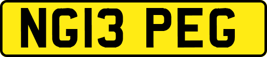 NG13PEG