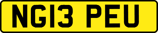 NG13PEU