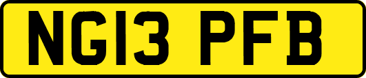 NG13PFB