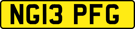 NG13PFG