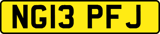 NG13PFJ