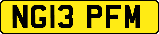 NG13PFM