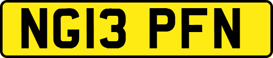 NG13PFN