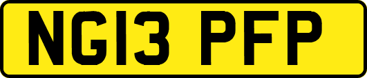 NG13PFP