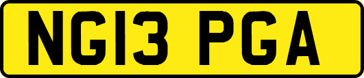 NG13PGA