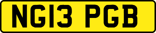 NG13PGB