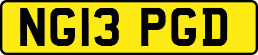 NG13PGD