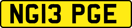 NG13PGE