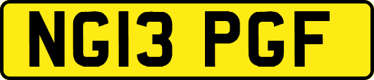 NG13PGF