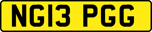 NG13PGG