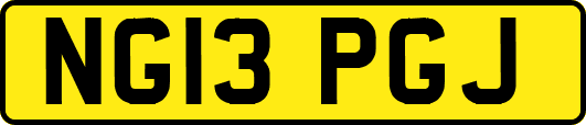 NG13PGJ