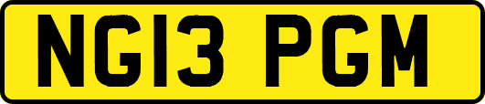 NG13PGM
