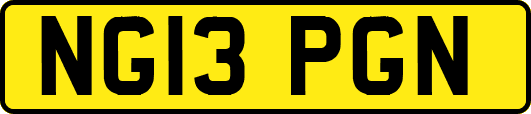 NG13PGN
