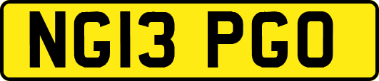 NG13PGO