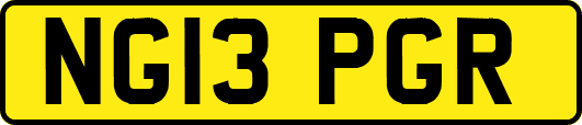 NG13PGR