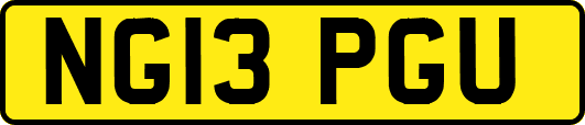 NG13PGU