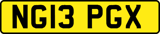 NG13PGX