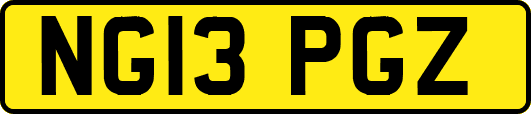 NG13PGZ