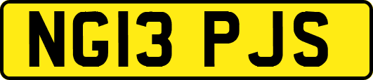NG13PJS