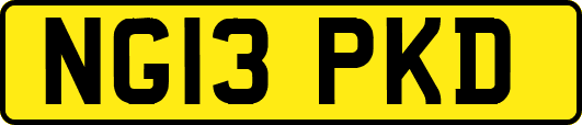 NG13PKD