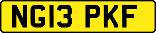 NG13PKF