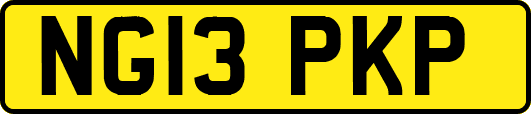 NG13PKP
