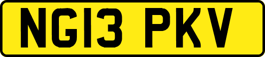 NG13PKV