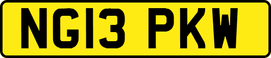 NG13PKW