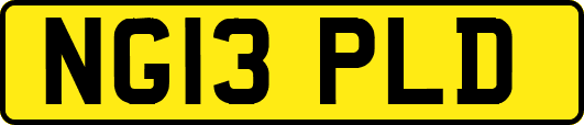 NG13PLD