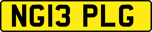 NG13PLG