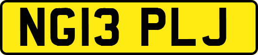NG13PLJ