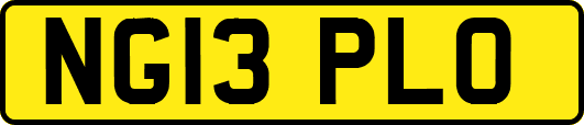 NG13PLO