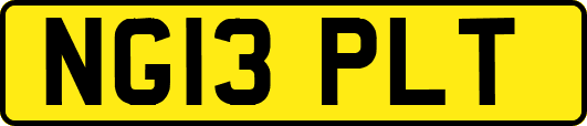NG13PLT