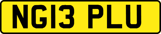 NG13PLU