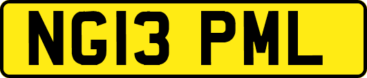 NG13PML
