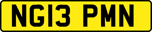 NG13PMN