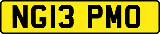 NG13PMO