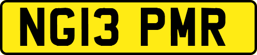 NG13PMR
