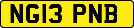 NG13PNB