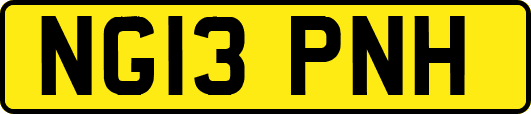 NG13PNH