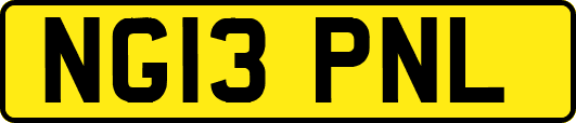 NG13PNL