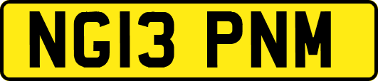 NG13PNM