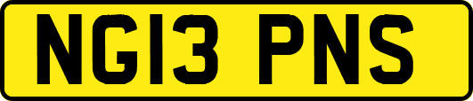 NG13PNS