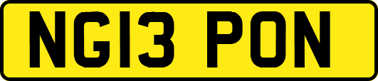 NG13PON