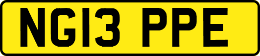 NG13PPE