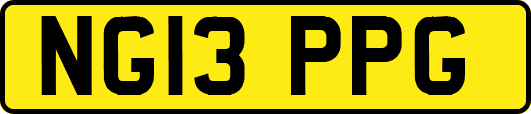 NG13PPG