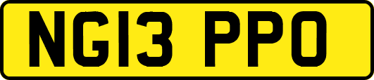 NG13PPO