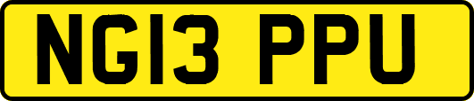 NG13PPU